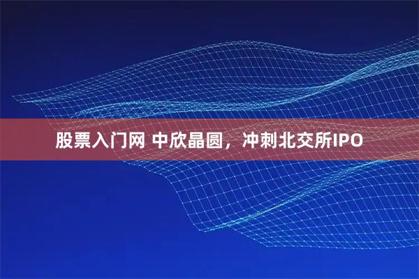 股票入门网 中欣晶圆，冲刺北交所IPO