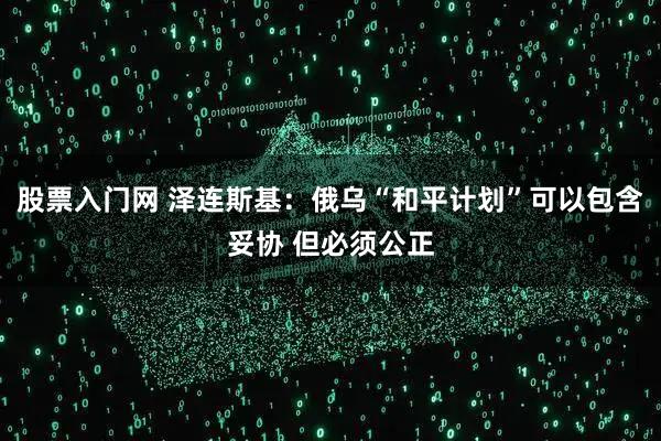 股票入门网 泽连斯基：俄乌“和平计划”可以包含妥协 但必须公正