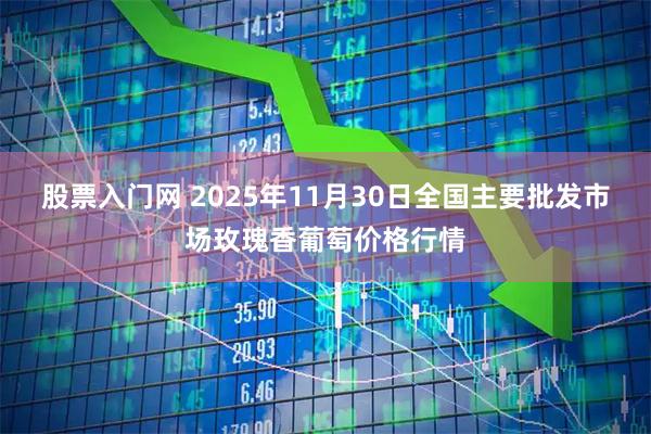 股票入门网 2025年11月30日全国主要批发市场玫瑰香葡萄价格行情