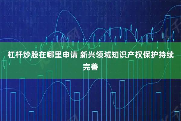 杠杆炒股在哪里申请 新兴领域知识产权保护持续完善
